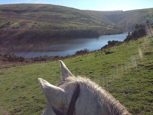 Riding on Dartmoor