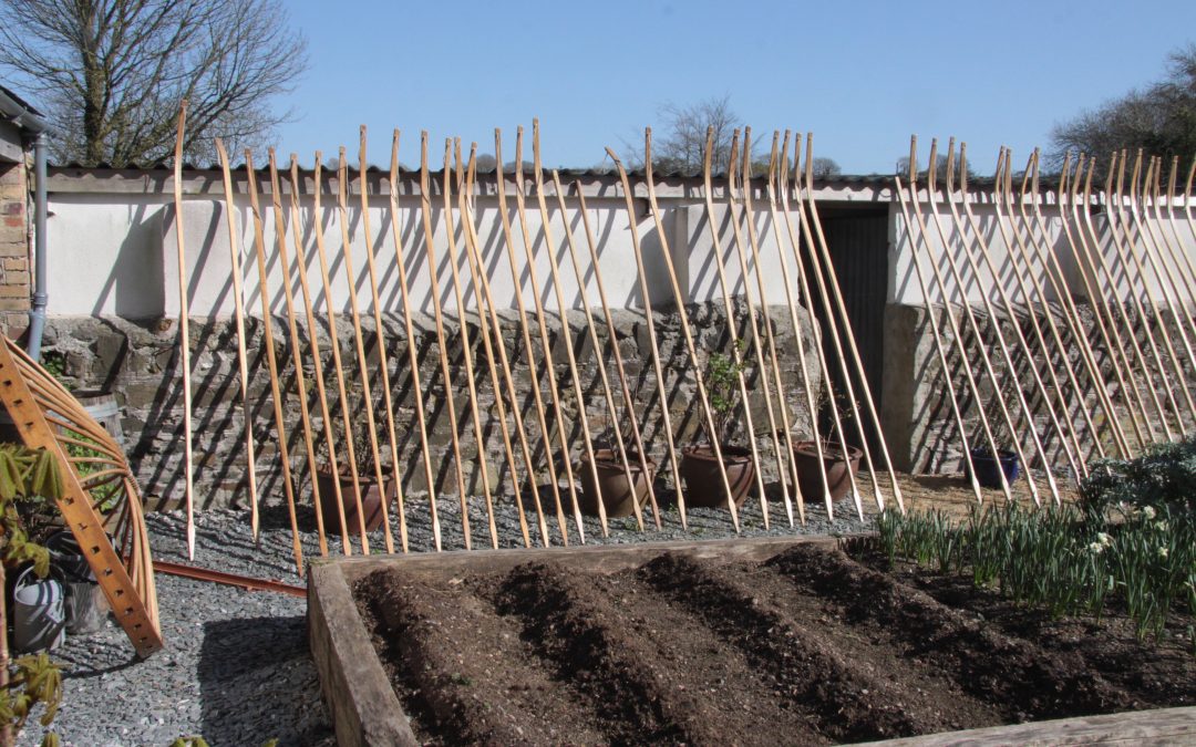 Devon Yurt is getting ready for Easter