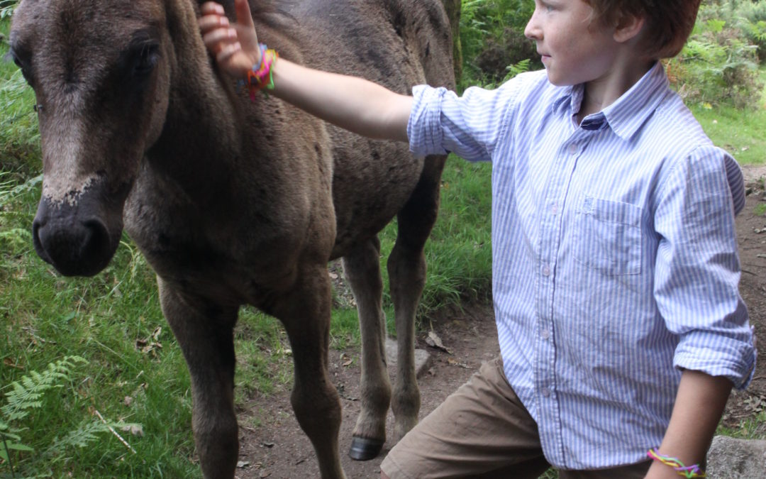 10 outdoor activities in Devon to entertain the children in the school holidays