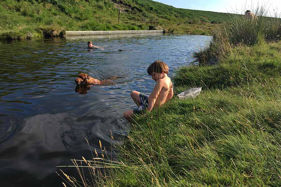 Children swimming on Dartmoor with their dog