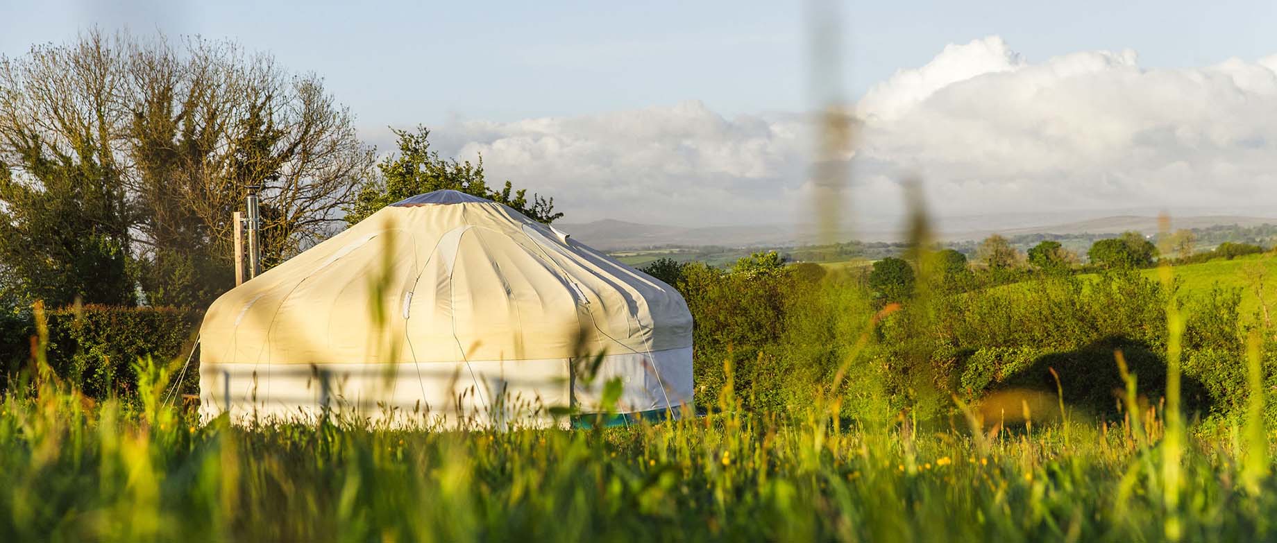 Great Links Yurt in flower meadow with views across Dartmoor