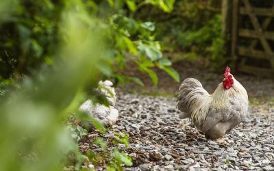 Great Big Green Week: Why a Summer Stay at Great Links Yurt is Good for the Whole Family