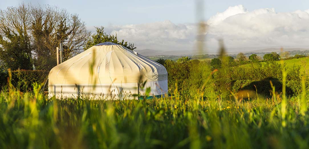 Great Links Yurt in surrounded by nature our secluded field with views across Dartmoor Great Links Yurt in surrounded by nature our secluded field with views across Dartmoor