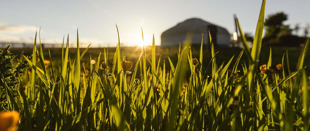 Great Links Yurt set in the meadow with the sun settings